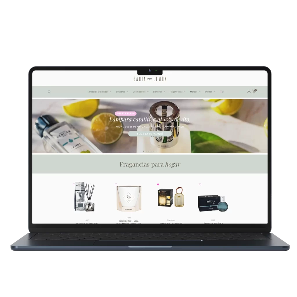 mockup-web-bahia-lemon